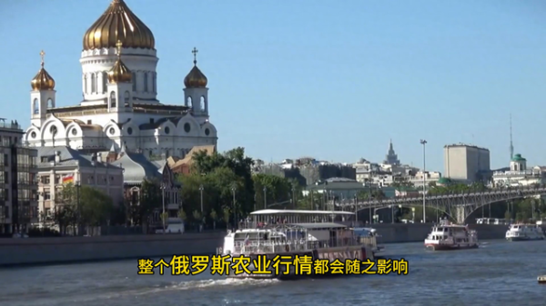 高忆配资 俄罗斯为何大量进口中国土豆? 土豆危机因何而起?