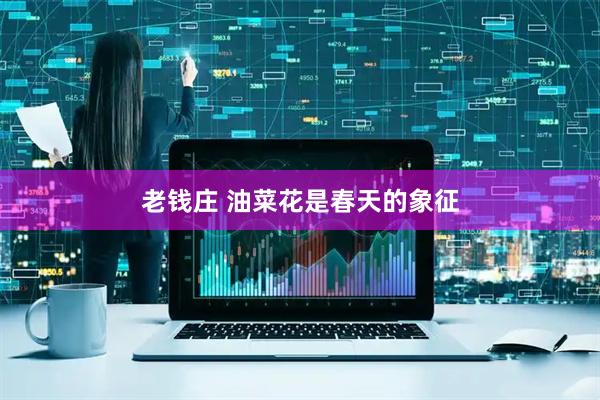 老钱庄 油菜花是春天的象征